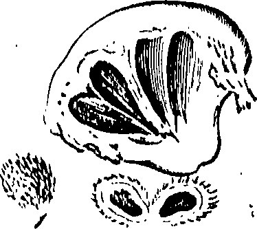 105/105690030000890_0.png