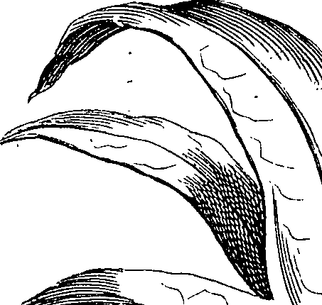 105/105690030000950_0.png