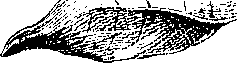 105/105690030001220_0.png