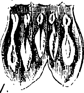 105/105690030001300_0.png