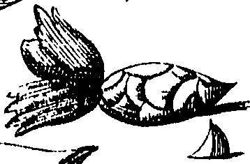 105/105690030001380_0.png
