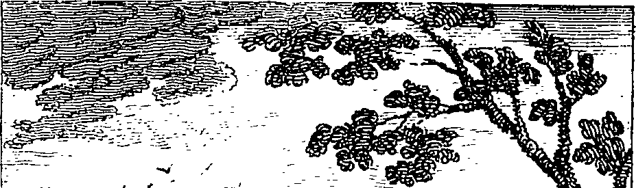 105/105690060000010_0.png