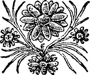 105/105700130002940_0.png