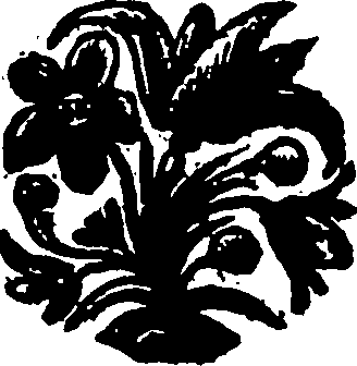 105/105810030203780_0.png