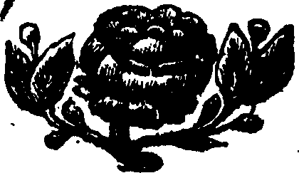 105/105820140000010_1.png