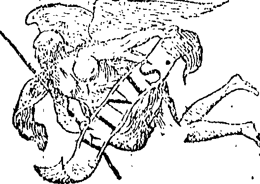 105/105830100000040_0.png