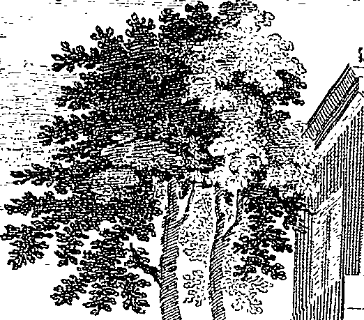 105/105880010403180_0.png