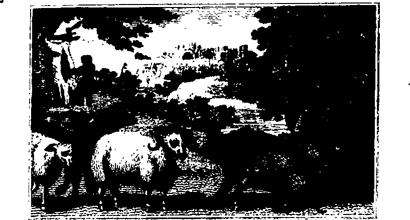 106/106000020100210_0.png