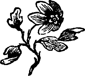 106/106000020100250_0.png