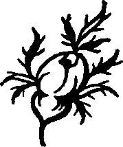 106/106000020100300_0.png