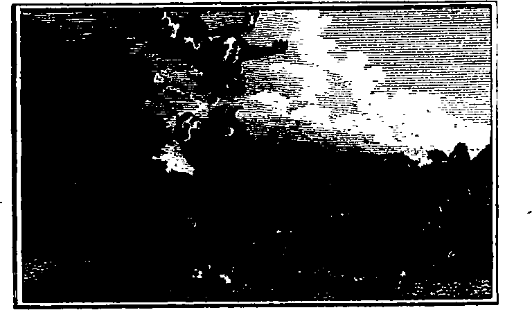 106/106000020100310_0.png