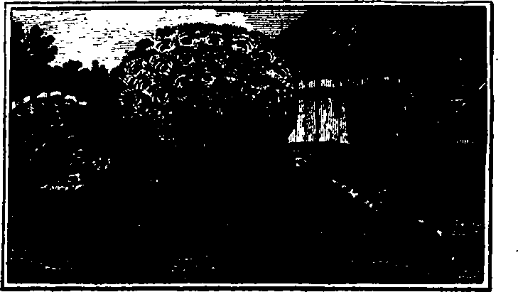 106/106000020100370_0.png