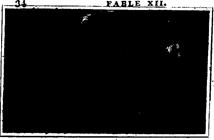 106/106000020100390_0.png