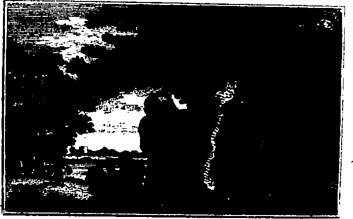 106/106000020100470_0.png