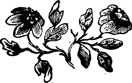 106/106000020100510_0.png