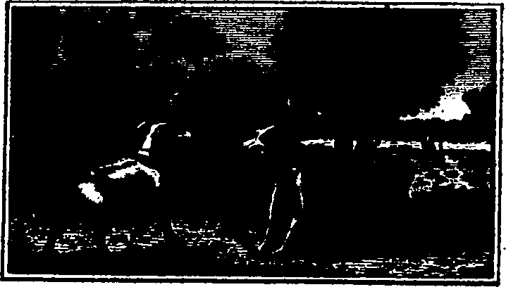 106/106000020100520_0.png