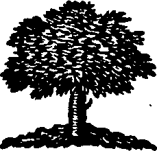 106/106000020100640_0.png