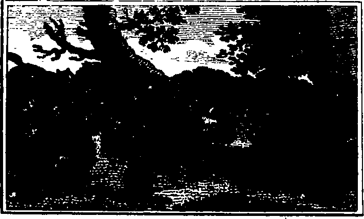 106/106000020100810_0.png