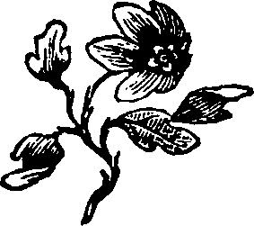 106/106000020100830_0.png