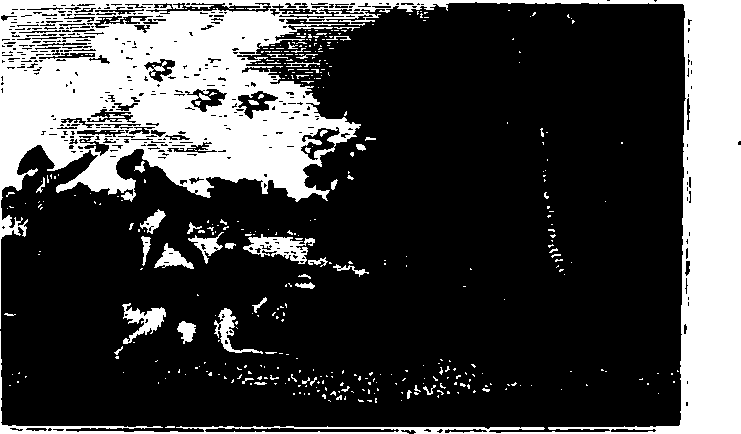 106/106000020100840_0.png