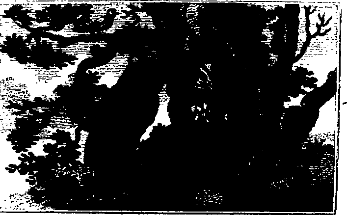 106/106000020100890_0.png