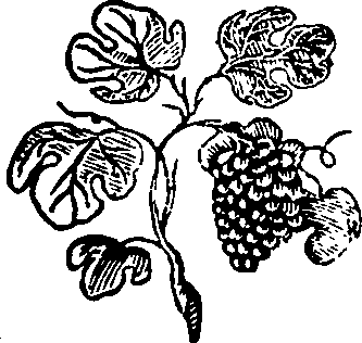 106/106000020100960_0.png