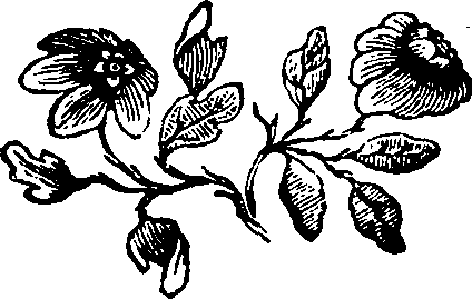 106/106000020101030_0.png