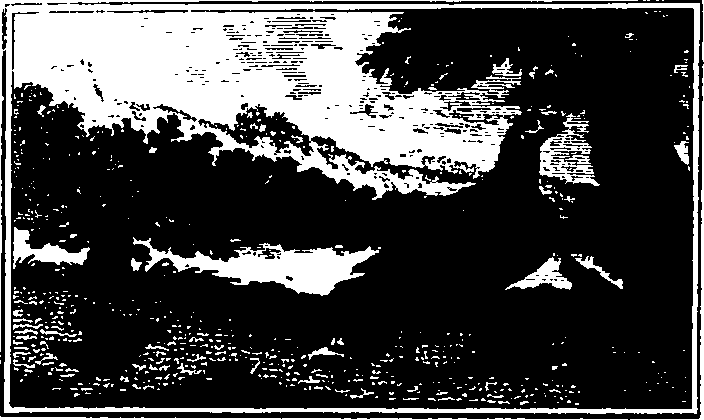 106/106000020101040_0.png