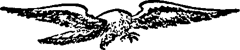 106/106000020101110_0.png