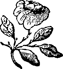 106/106000020101170_0.png