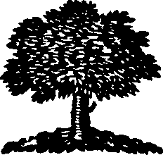 106/106000020101320_0.png