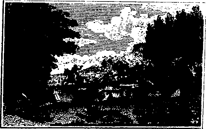 106/106000020101350_0.png
