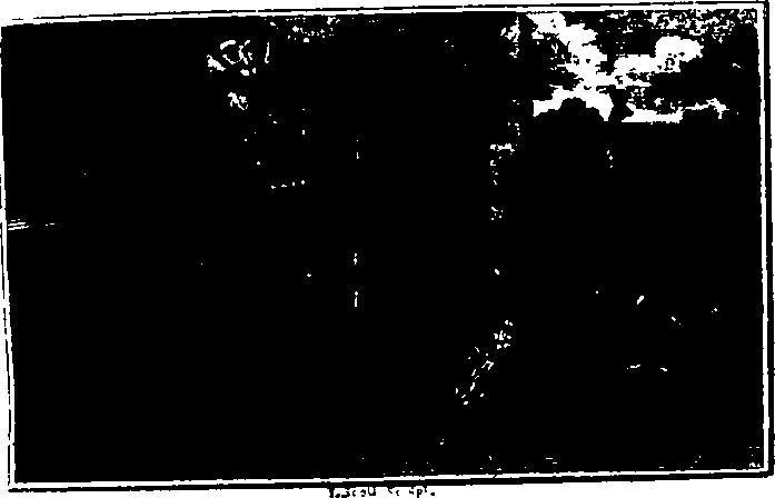 106/106000020200140_0.png