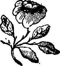 106/106000020200250_0.png