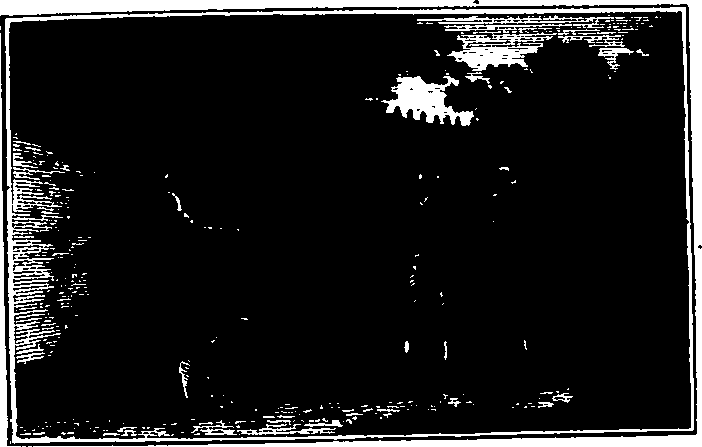 106/106000020200320_0.png