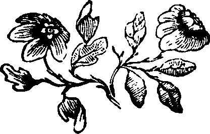 106/106000020200450_0.png