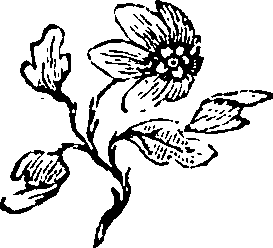 106/106000020200520_0.png