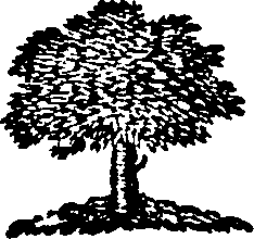 106/106000020200900_0.png