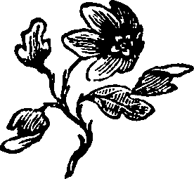 106/106000020200970_0.png