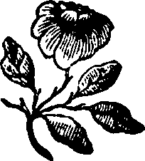 106/106000020200990_0.png