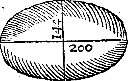 106/106020200001000_1.png