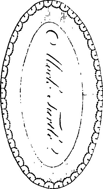 106/106040010003550_4.png
