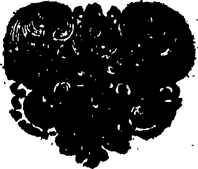 106/106080040104130_0.png