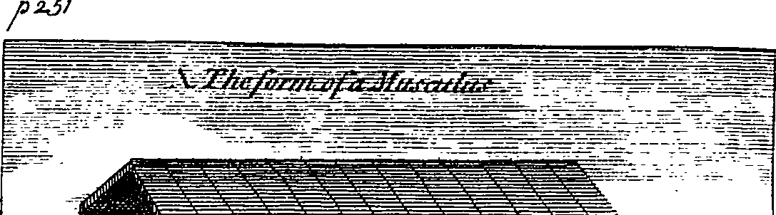 106/106110040003070_0.png