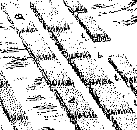 106/106110040003740_0.png