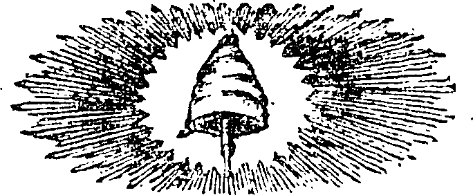 106/106130030000010_1.png