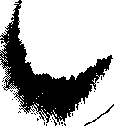 106/106140010000830_0.png