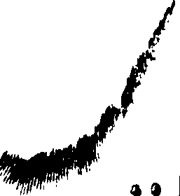 106/106140010000830_1.png