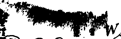 106/106140010000870_0.png