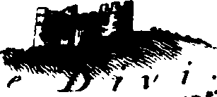 106/106140010000960_0.png